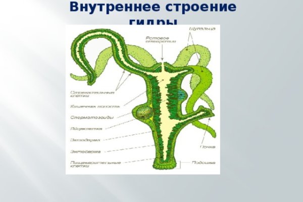 Кракен сайт продаж