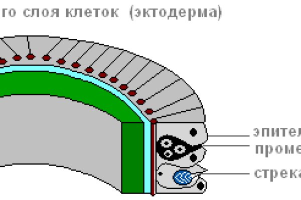 Kraken маркетплейс зеркала