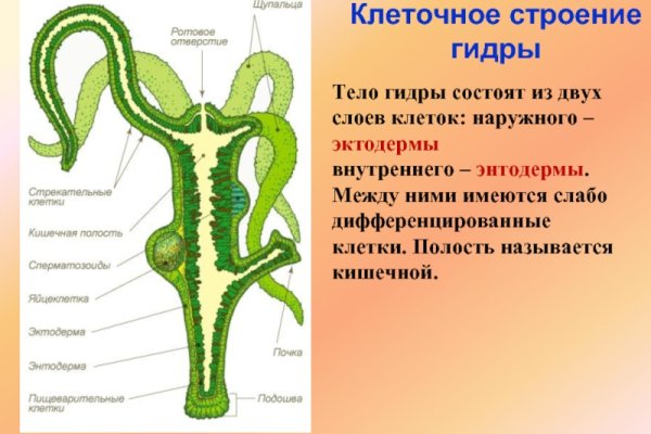 Кракен современный маркет