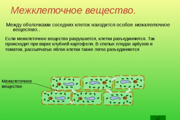 Через какой браузер можно зайти на кракен